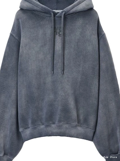 Affordable Essential Wang Women Alexander hoodie 0225