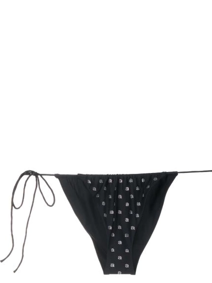 crystal-embellished Wang Alexander bikini bottoms Women 0228