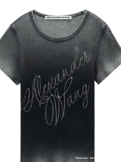 Affordable Alexander Hotfix Cursive-logo T-shirt cotton Women Wang 0216